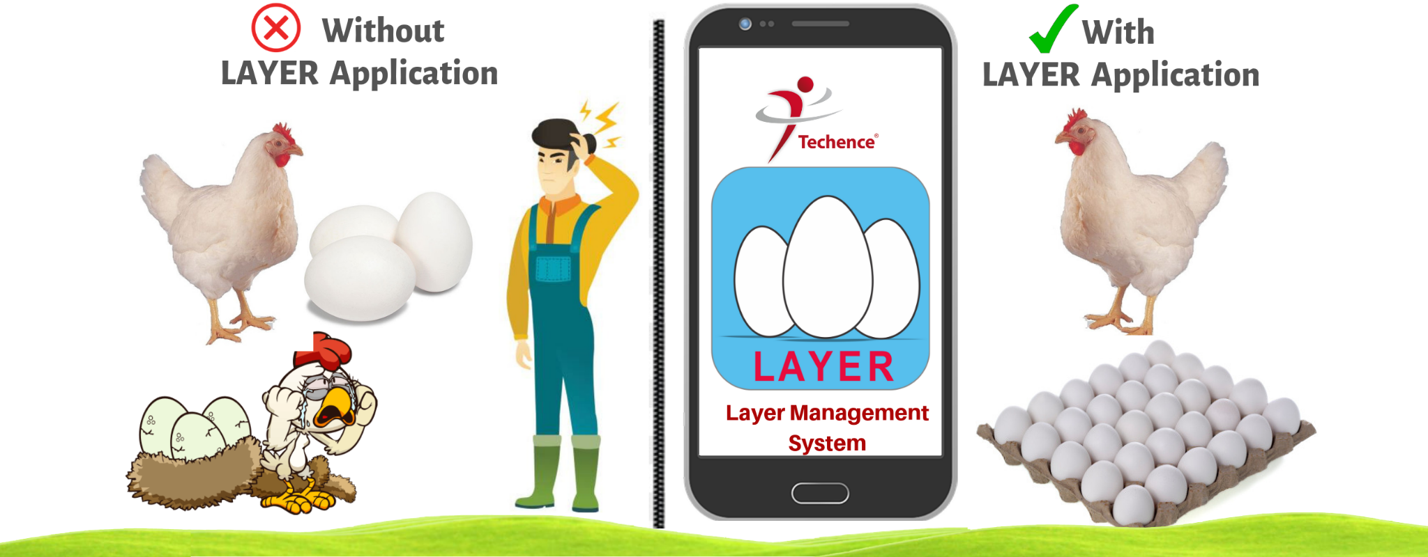 LMS Layer Management System 